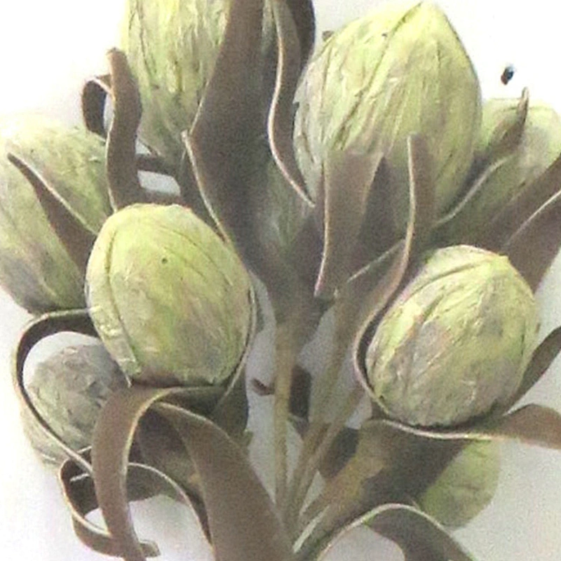 Real Touch Gifts And Decorations foam flowers decorationfoam Artificial foam flowers with stem