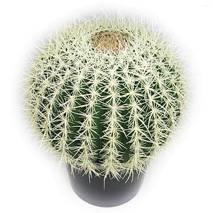 Hot Sales Best Selling Artificial Cactus New Style  Potted Plant Home Decoration Cactus