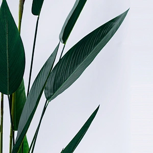Artificial Paradise Bird Flower artificial paradise birds with pot for home decortion