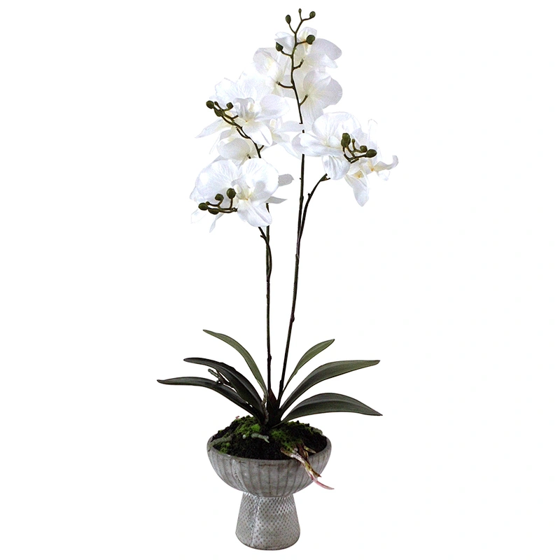 Home Office Artificial Orchid Flower Decor Real Touch Artificial Vivid Orchid Flower Plant With Pot