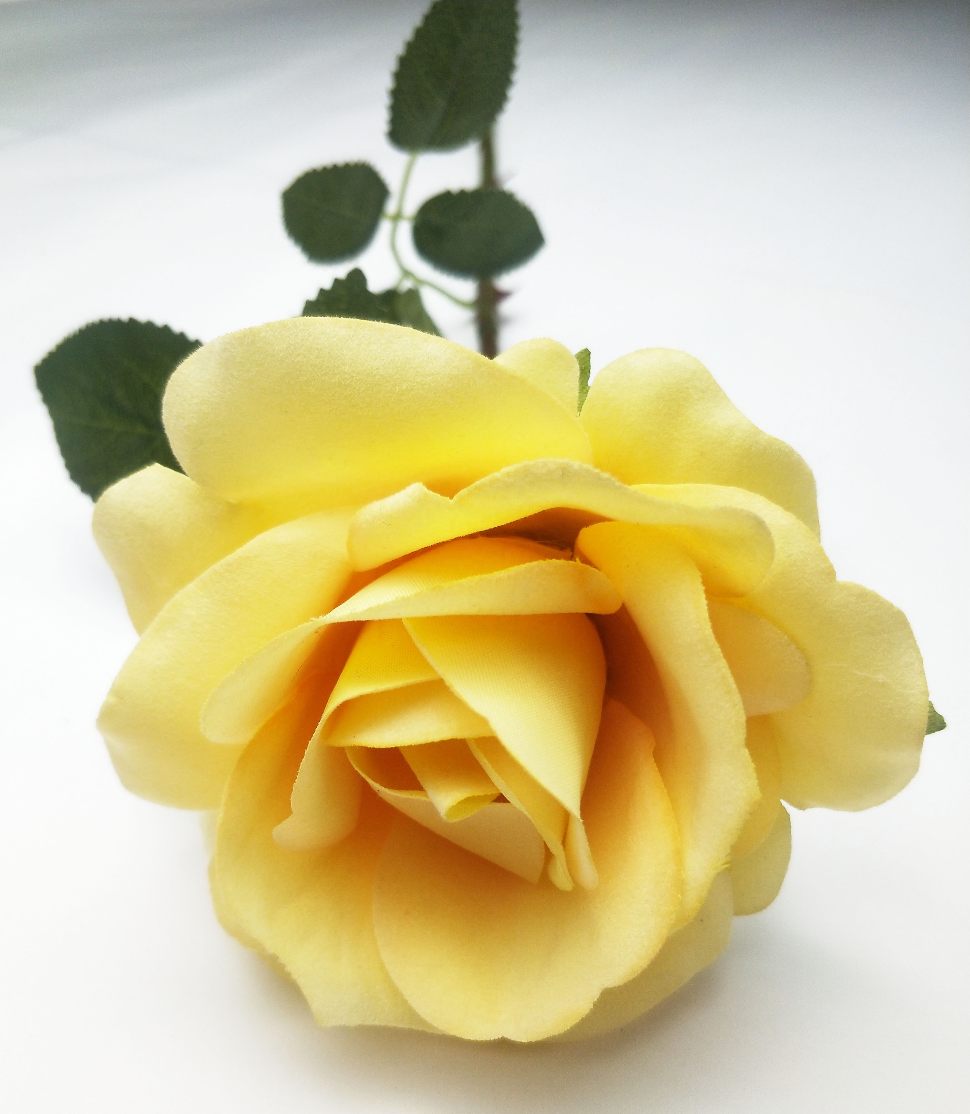 SIKYWAY:Hot sale Artificial silk rose single  flowers for wedding home decoration spray 1001-ZYMG-1T
