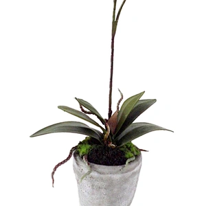 Artificial Flower  with Vase Vivid Orchid Flower real touch orchid flower with Pot for Home Office Decorations