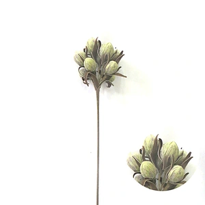 Made In China Deluxe gifts and home foam wedding flowers oasis plant foam flowers