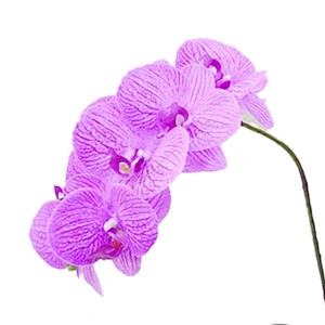 High Quality Real touch Artificial Orchid Plants Orchid Flowers Orchid for Indoor Decoration