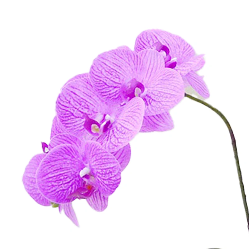High Quality Real touch Artificial Orchid Plants Orchid Flowers Orchid for Indoor Decoration