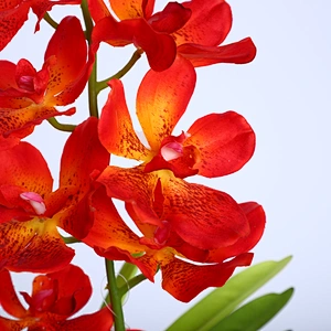 China Wedding Decor Orchid Assortment Artificial Flower Faux Water Orchid For Shop Supermarket Arrangement