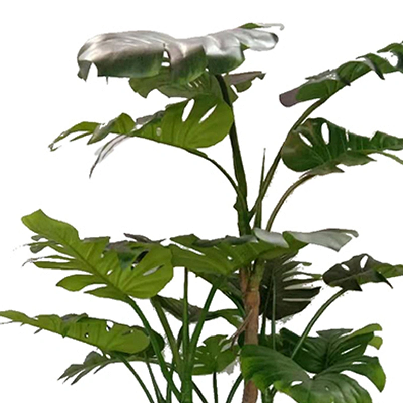 Home Interior Decoration  Artificial Monstera Obliqua Preserved Quality Small Monstera Leaves