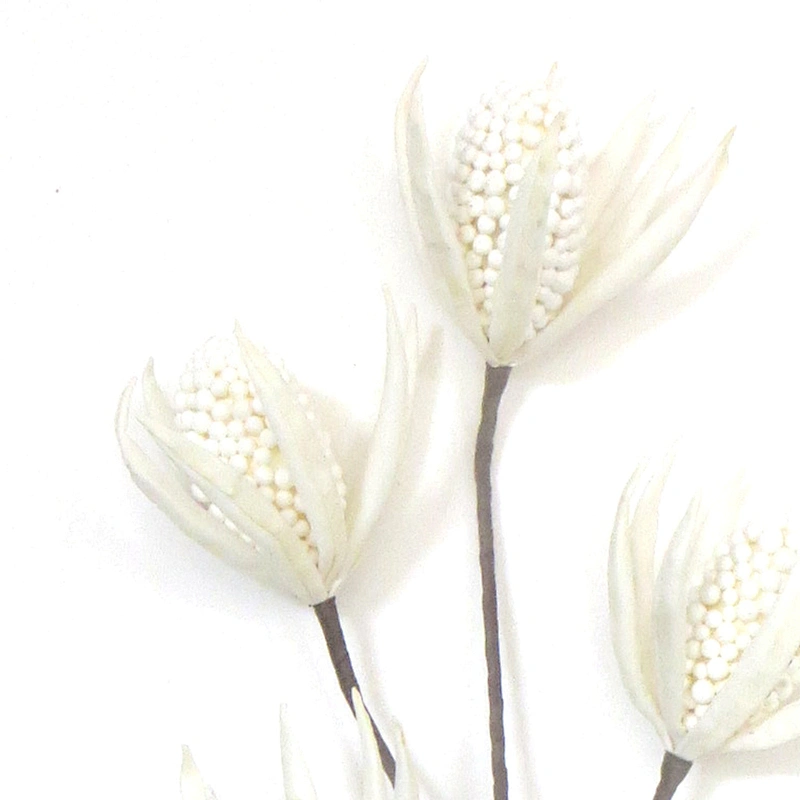 Home Decoration Large Artificial Foam Flowers Wedding Bouquet Preserved Foam Flowers