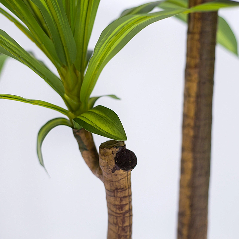 Best Quality Real Touch Garden Decorate Artificial Dracana Tree For Sale
