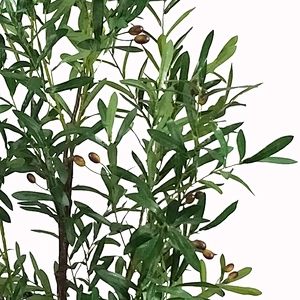 New style Natural Touch Artificial Oliver Tree Plant Indoor Display Trees Oliver Tree For Decoration