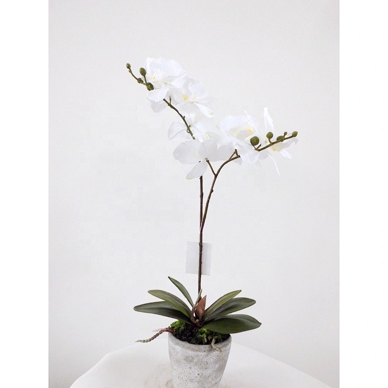Hot sale Home table wedding decor real touch orchid flowers artificial  orchid flower/plant