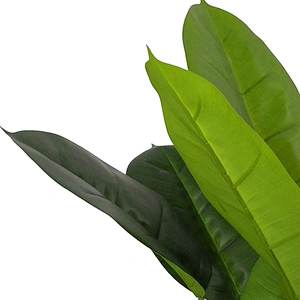High Quality Cheap Scindapsus Aureus Plant Artificial Leaves Plastic Tree For Decoration