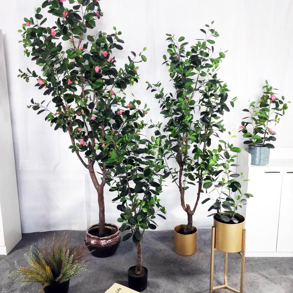 High Quality  Decorative Ornamental Bonsai Plants Of  Ficus Garden Decoration Banyan Tree  Evergreen Foliage Plants