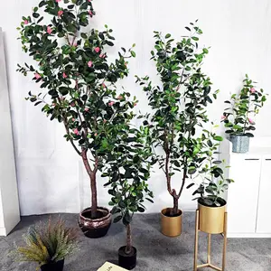 High Quality  Decorative Ornamental Bonsai Plants Of  Ficus Garden Decoration Banyan Tree  Evergreen Foliage Plants