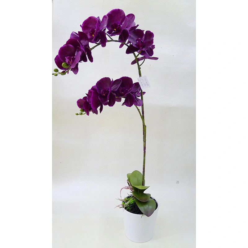 High Quality Artificial Latex Flowers artificial Orchid flower Artificial Real Touch Orchid plant