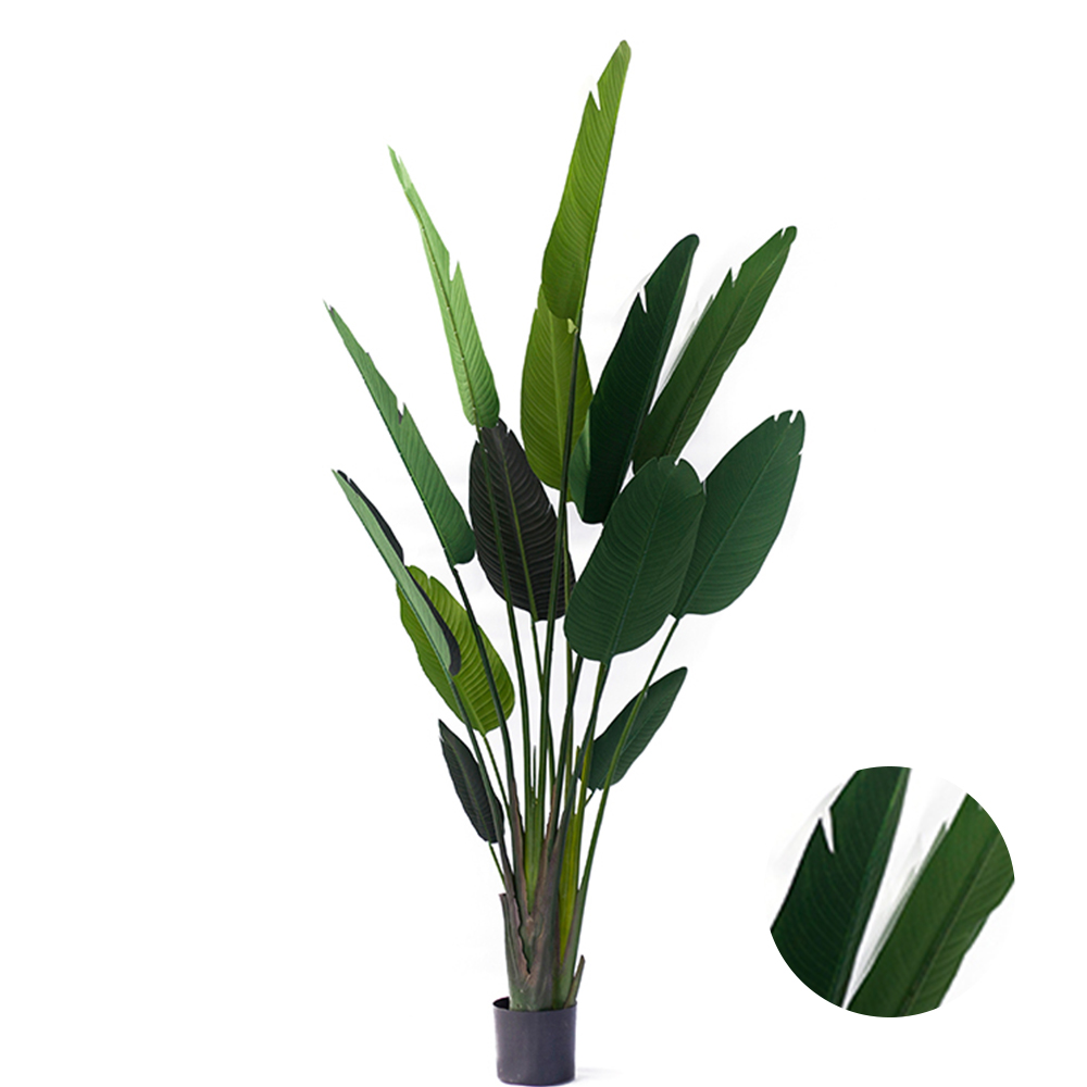 Eco-Friendly Variegata Deliciosa Plants Artificial Banana Trees Artificial Tree Banana Leaf Tree