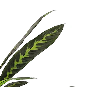 Factory Direct Sale Foliage Evergreen Plant Artificial Bonsai Plants Greenery Trees For Wedding Decoration