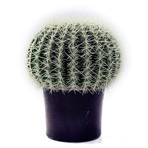 Hot Sales Best Selling Artificial Cactus New Style  Potted Plant Home Decoration Cactus