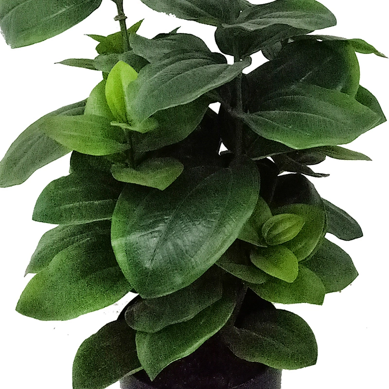 Ornamental  artificial green plant artificial tree decorative artificial plant for living room