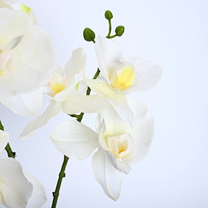 Home Wedding Decor White Artificial Flowers Cymbidium Orchid Faux Water Butterfly Orchid