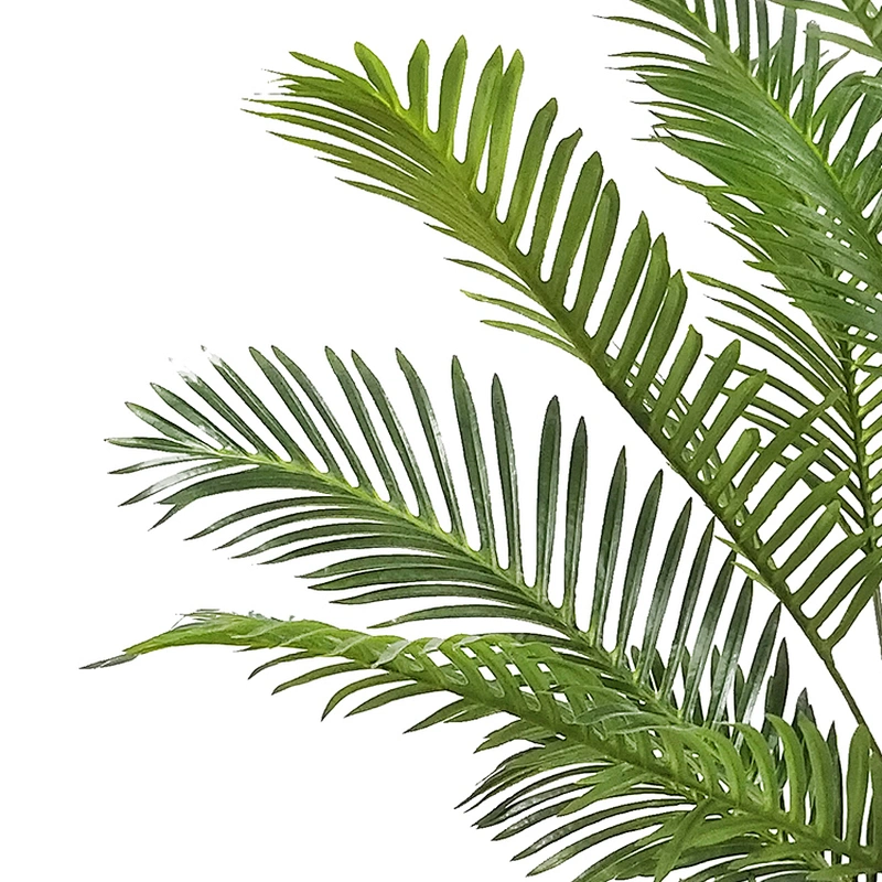 Home Interior Decoration Plants Artificial Areca Palm Leaf Wholesale Areca Palm Tree Plants