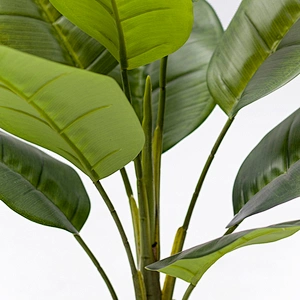 Most Popular Greenery Plant Artificial Scindapsus Aureus Dried Garden Scindapsus Aureus For Living Room Decoration