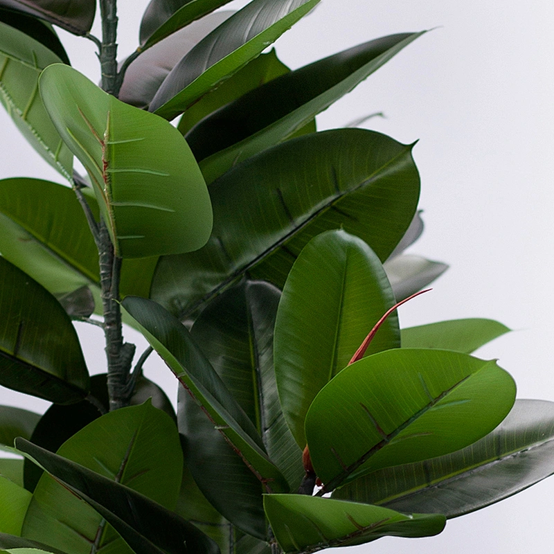 Foliace Plastic Fabric Evergreen Large Rubber Tree Leaves Decorative Rubber Tree Artificial Tree For Weddings