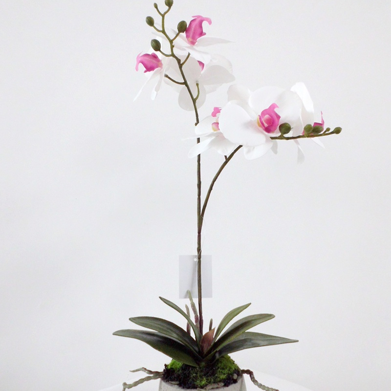 wholesale home indoor decoration wedding artificial orchid flowers 3D printing orchid decoration artificial orchid plant