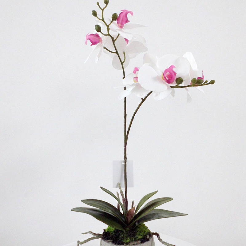 wholesale home indoor decoration wedding artificial orchid flowers 3D printing orchid decoration artificial orchid plant