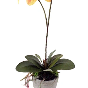 Artificial Flower  with Vase Vivid Orchid Flower real touch orchid flower with Pot for Home Office Decorations