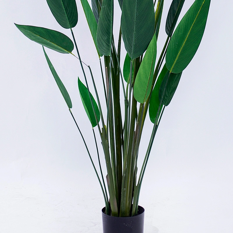 strelitzia plants bonsai real touch fabric artificial strelitzia for sale home decortion