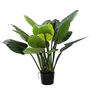 Low MOQ Popular Monsteras Philodendron Plant Simulation Philodendron For Home Decoration