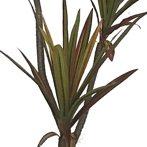 decoration artificial dracaena indoor display artificial plants artificial tree plants dracaena tree