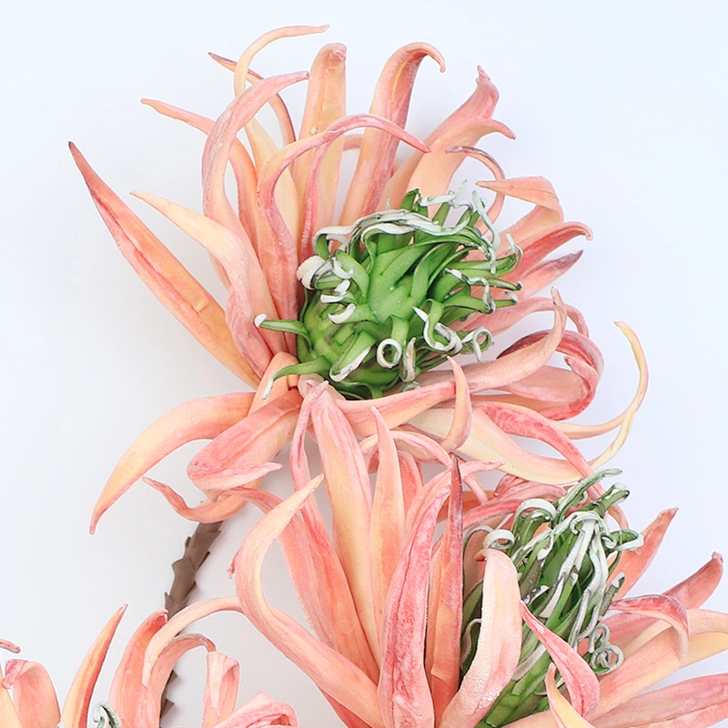 Most Popular arts and crafts big foam flowers silk foam for flower arrangements