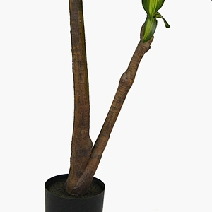 Wholesale Garden Suppliers Dracena Leaf Plant Tree Artificial Marginata Tropical Dracena
