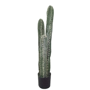 Factory Offer Made In China Immortal Stick Simulation Perennial Foliage Plants