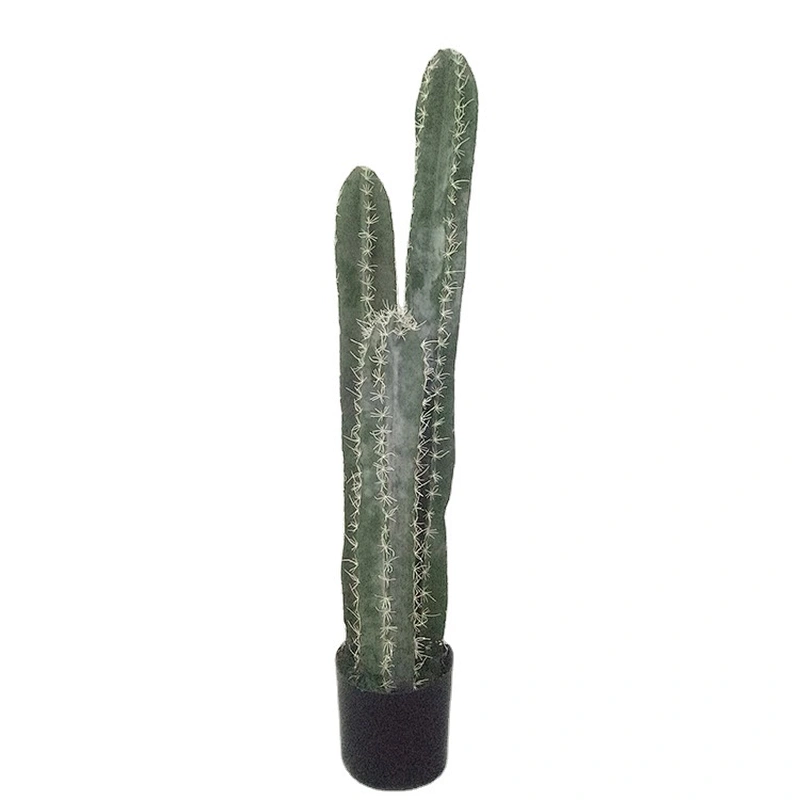 Factory Offer Made In China Immortal Stick Simulation Perennial Foliage Plants