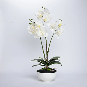 Home Wedding Decor White Artificial Flowers Cymbidium Orchid Faux Water Butterfly Orchid