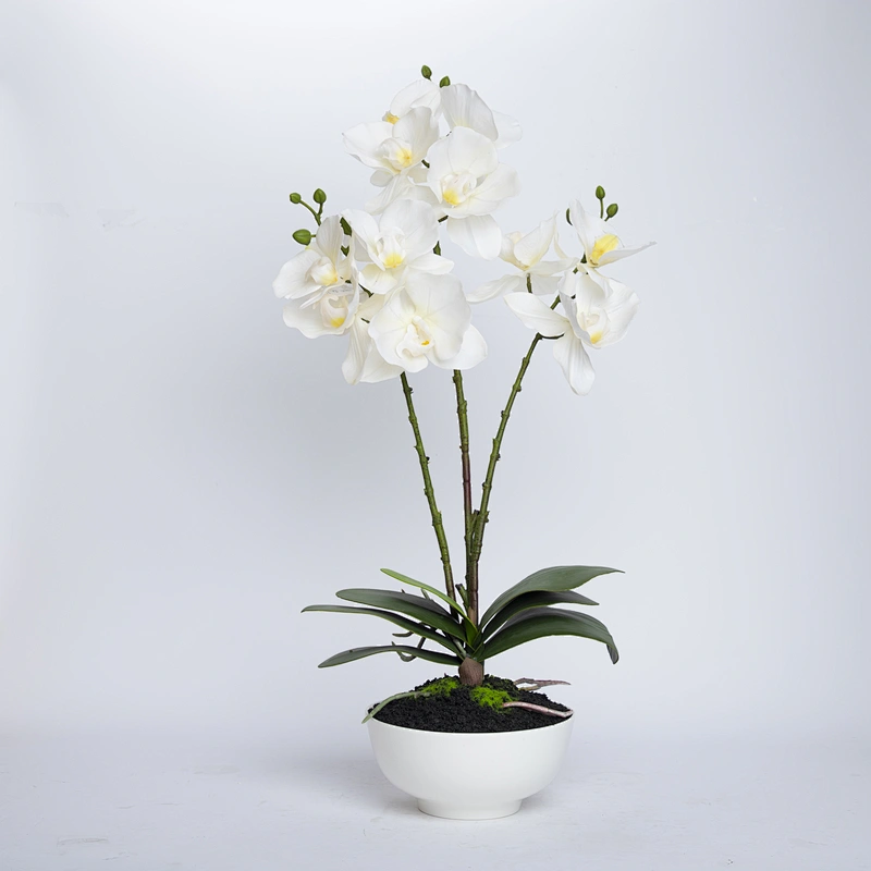 Home Wedding Decor White Artificial Flowers Cymbidium Orchid Faux Water Butterfly Orchid