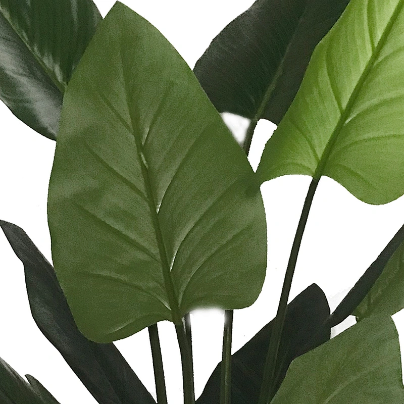 Most Popular outdoor artificial philodendron plant trees philodendron plants on sale