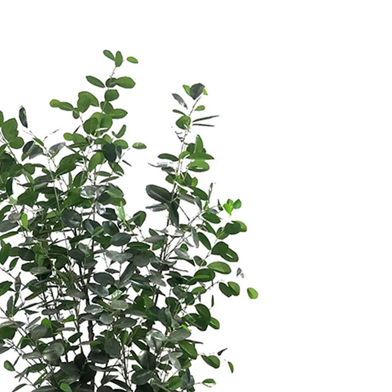 Manufacturer Direct Salegiant artificial ficus trees Artificial Plants Banyan Tree banyan tree artificia