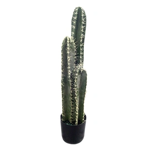 Factory Offer Made In China Immortal Stick Simulation Perennial Foliage Plants