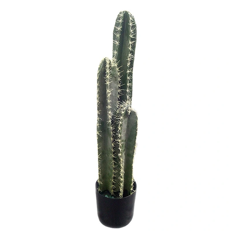 Factory Offer Made In China Immortal Stick Simulation Perennial Foliage Plants