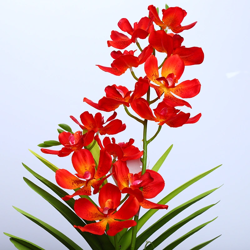 China Wedding Decor Orchid Assortment Artificial Flower Faux Water Orchid For Shop Supermarket Arrangement