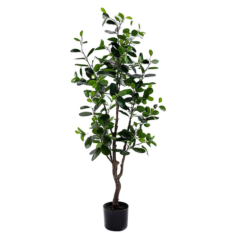 New Style Bonsai Plants China Top Quality Mini Small Medium Decorative Ornamental Bonsai Plants Of  Ficus Microcarpa