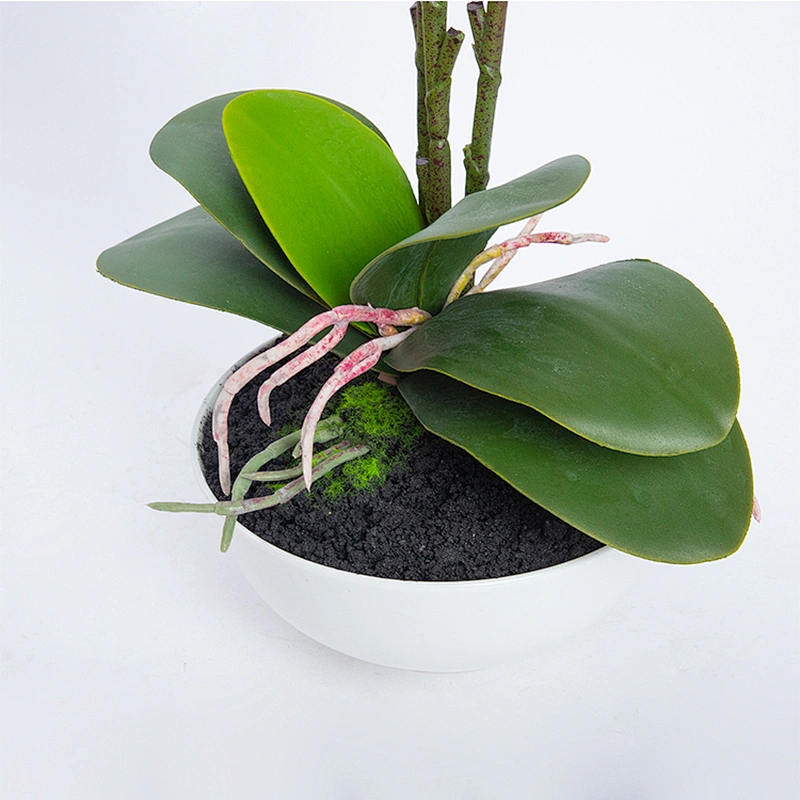 Home Decoration Orchid Branch Artificial Phalaenopsis Flowers Butterfly Orchid For Sale
