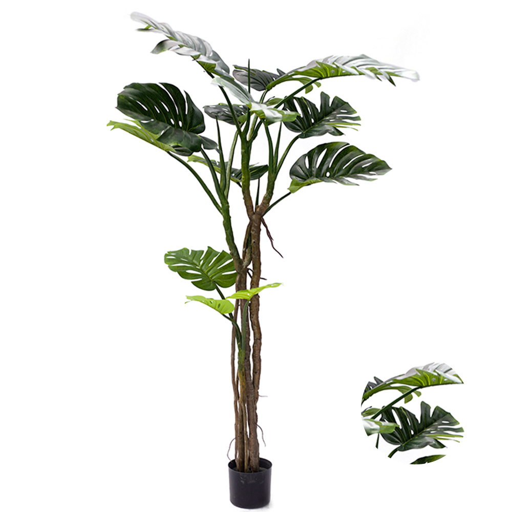 Free Samples Green Adansonii Monstera Popular Vivid Customized Monstera Plant Leaf