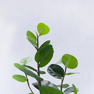 Wholesale Promotional Excellent Quality Artificial Leave Foliage Plant For Indoor Decoration