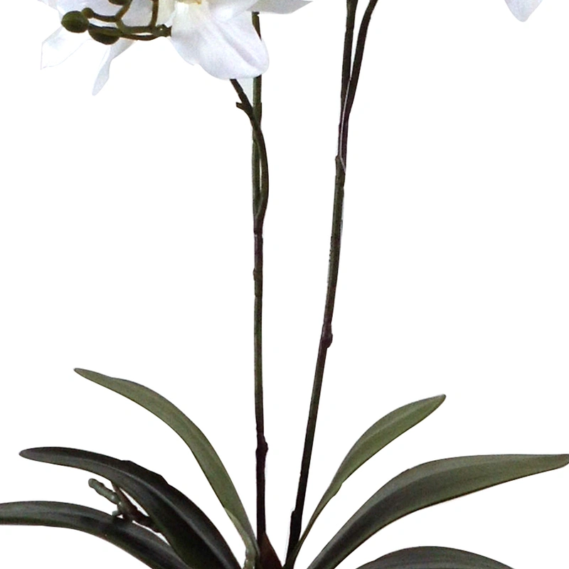 Office Wedding Decoration Spring Artificial Orchid Flower Silky Way Real Touch Latex Artificial Orchid Flower For Home