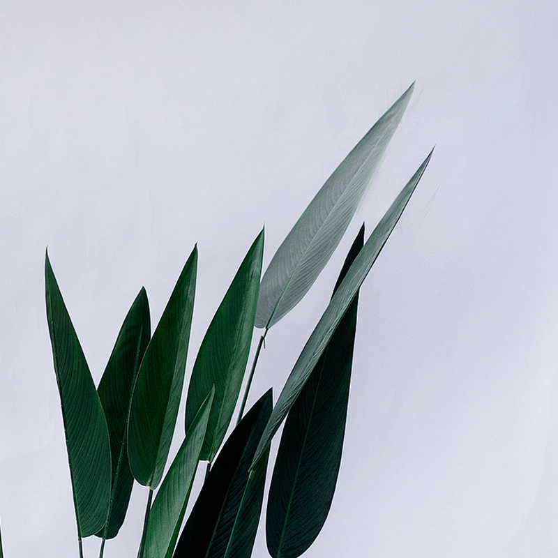 Good prices OEM Excellent Quality Strelitzia Plants Bonsai Fabric Ornamental Artificial Leaves Trees